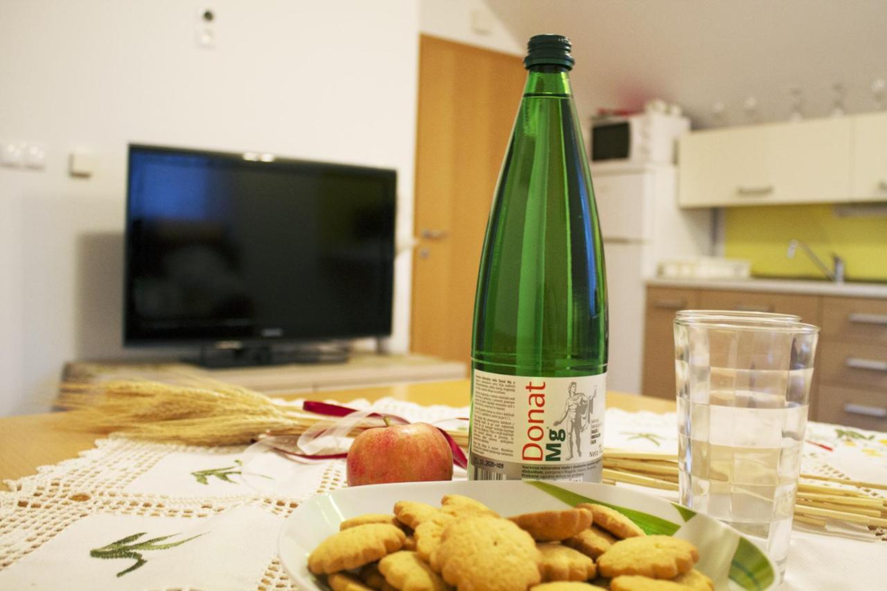 Apartma Pegaz Rogaška Slatina Kültér fotó
