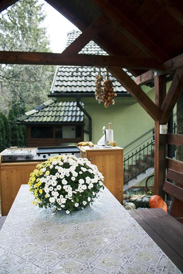 Apartma Pegaz Rogaška Slatina Kültér fotó